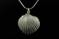 Fluted Cockle silver pendant