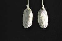 NZ Ark Shell Earrings