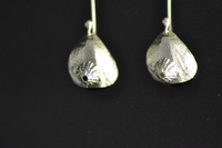 NZ Brachiopod Shell with attached Barnacle, Earrings