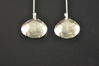 NZ Brachiopod Shell Earrings