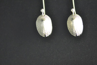 NZ Slit Limpet Shell Earrings