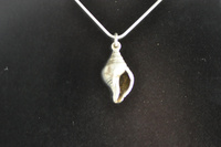 NZ Trophon Shell Pendant