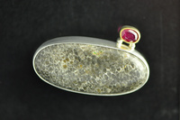 Dinosaur Bone and Ruby Silver Brooch