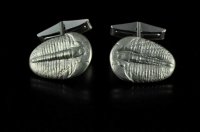 Fossil Trilobite silver cufflinks