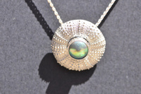 Kina and Pinky Green Paua Pearl Silver Pendant
