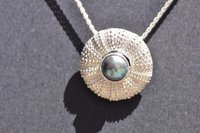 Kina and Bright Green/Blue/Pink Paua Pearl