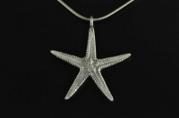 Starfish silver pendant.