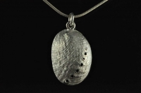 23mm Paua shell silver pendant or earrings. 