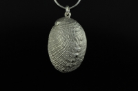 NZ 'Virgin Paua' silver paua shell pendant