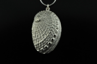 NZ 'Silver Paua', silver paua shell pendant