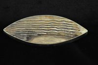Fossil wood and silverbrooch
