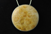 Fossil Coral and silver pendant