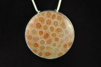 Fossil Coral and Silver pendant