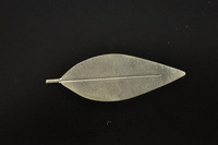 Pohutukawa leaf silver brooch.